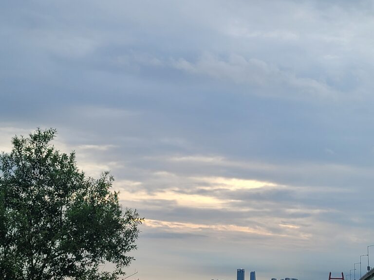 간힐리언스 간암환자 황달 체크리스트